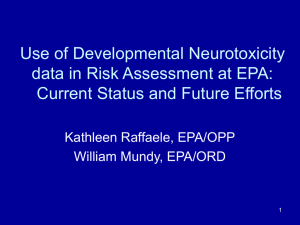 Use of Developmental Neurotoxicity data in Risk Assessment at EPA: