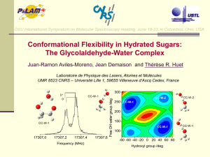 Conformational Flexibility in Hydrated Sugars: The Glycolaldehyde-Water Complex