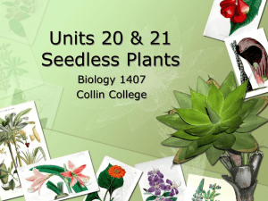 Units 20 &amp; 21 Seedless Plants Biology 1407 Collin College