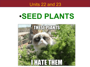 • SEED PLANTS Units 22 and 23