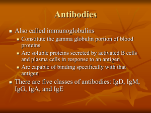 Antibodies Also called immunoglobulins