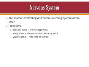 The master controlling and communicating system of the body Functions