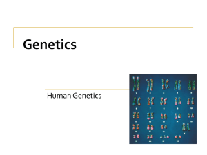 Genetics Human Genetics