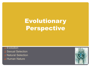 Evolutionary Perspective Evolution Sexual Selection