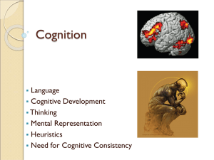 Cognition Language Cognitive Development Thinking