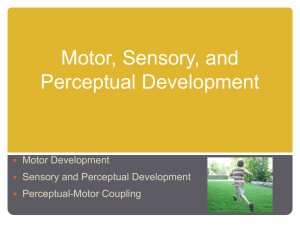 Motor, Sensory, and Perceptual Development Motor Development Sensory and Perceptual Development