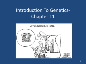 Introduction To Genetics- Chapter 11 1