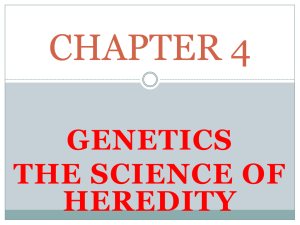 CHAPTER 4 GENETICS THE SCIENCE OF HEREDITY