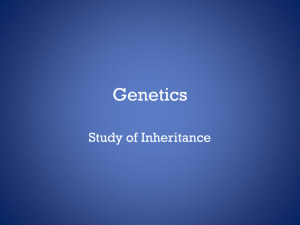 Genetics Study of Inheritance