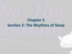 Chapter 5 Section 2: The Rhythms of Sleep