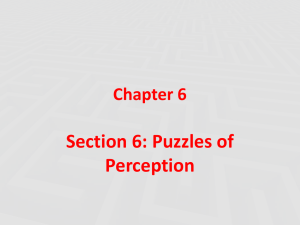 Section 6: Puzzles of Perception Chapter 6