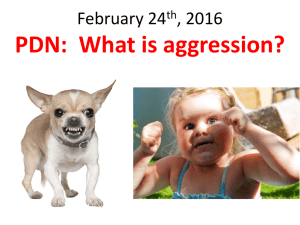 PDN:  What is aggression? February 24 , 2016 th