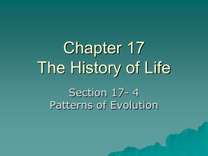 Chapter 17 The History of Life Section 17- 4 Patterns of Evolution
