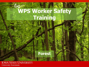 WPS Worker Safety Training Forest