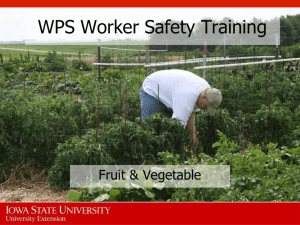 WPS Worker Safety Training Fruit &amp; Vegetable