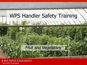 WPS Handler Safety Training Fruit and Vegetables