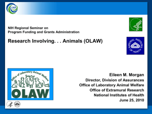 Research Involving. . . Animals (OLAW) Eileen M. Morgan