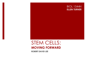 STEM CELLS: MOVING FORWARD BIOL 1544H ELLEN TURNER