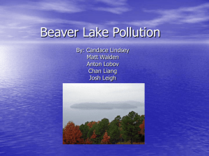 Beaver Lake Pollution By: Candace Lindsey Matt Walden Anton Lobov