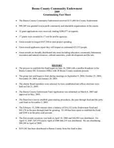 Boone County Community Endowment 2009 Grantmaking Fact Sheet