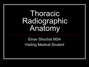 Thoracic Radiographic Anatomy Einav Shochat MS4