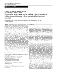 Fermentation performance and intracellular metabolite patterns