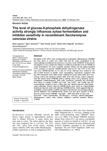 The level of glucose-6-phosphate dehydrogenase activity strongly influences xylose fermentation and Saccharomyces