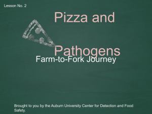 Pizza and Pathogens Farm-to-Fork Journey Lesson No. 2