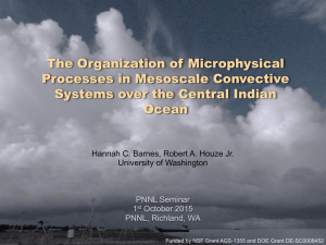 The Organization of Microphysical Processes in Mesoscale Convective Ocean