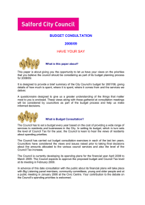 BUDGET CONSULTATION  2008/09 HAVE YOUR SAY