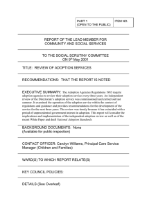 REPORT OF THE LEAD MEMBER FOR COMMUNITY AND SOCIAL SERVICES