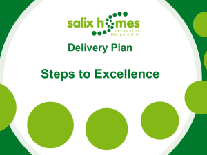 Steps to Excellence Delivery Plan