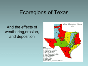 Ecoregions of Texas And the effects of weathering,erosion, and deposition