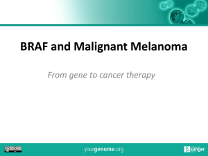 BRAF and Malignant Melanoma From gene to cancer therapy