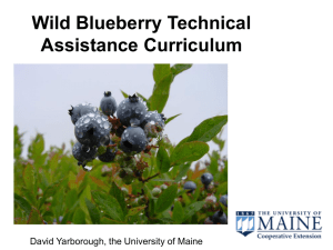 Wild Blueberry Technical Assistance Curriculum David Yarborough, the University of Maine
