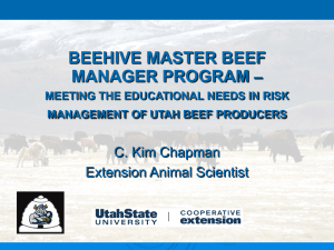 BEEHIVE MASTER BEEF MANAGER PROGRAM – C. Kim Chapman