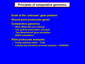 • Principles of comparative genomics Scale of the ‘unknown’ gene problem