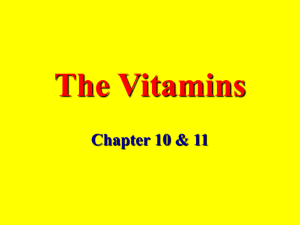 The Vitamins Chapter 10 &amp; 11