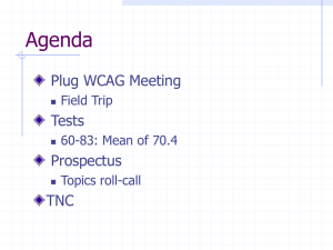 Agenda Plug WCAG Meeting Tests Prospectus