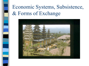 Economic Systems, Subsistence, &amp; Forms of Exchange
