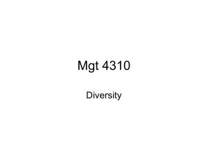 Mgt 4310 Diversity