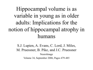 Hippocampal volume is as variable in young as in older