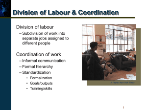 Division of Labour &amp; Coordination Division of labour Coordination of work
