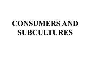 CONSUMERS AND SUBCULTURES