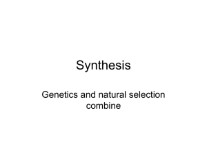 Synthesis Genetics and natural selection combine