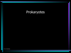 Prokaryotes 7/17/2016