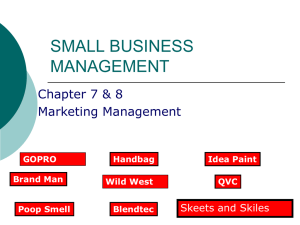 SMALL BUSINESS MANAGEMENT Chapter 7 &amp; 8 Marketing Management