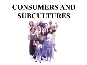 CONSUMERS AND SUBCULTURES