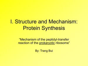 I. Structure and Mechanism: Protein Synthesis “Mechanism of the peptidyl-transfer ribosome”