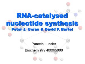 RNA-catalysed nucleotide synthesis Peter J. Unrau &amp; David P. Bartel Pamela Lussier
